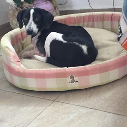 D 1522be66 5b21 4f3a b9a4 5fd7baf8a7fd