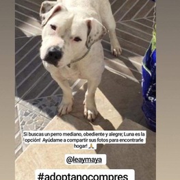 D 7a2d19c4 27ef 46a3 8c6c 2ebe32a84655