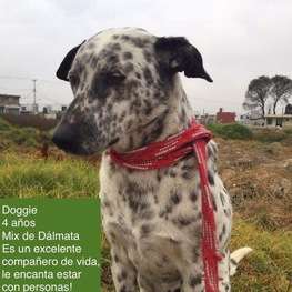 D b2ca6d20 b25e 445e b474 0cf629f54e5b