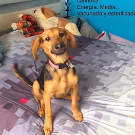 D 311ff474 a117 4fe9 a1ff 6de557f324be