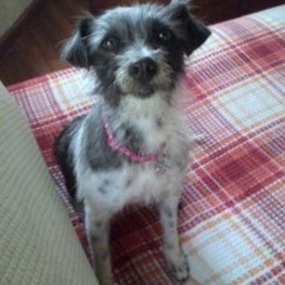 D ed72ee3f b53e 4b58 b361 69e361e718d3