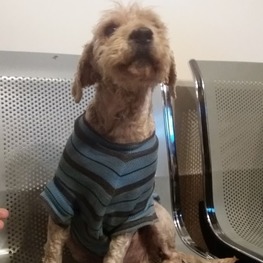 D 87b67671 9058 4688 978b 7277816f1b0b