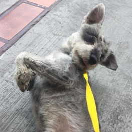 D 4241a9ec 0259 4956 8329 68761c848ad2