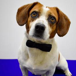 D 1282eaa5 2083 4c78 9548 061a85009505