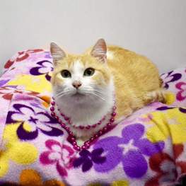 D 218804d6 f914 4ebc 905e bc6657e0cf28