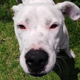 D 07a9199c dfd0 4daf af8a 2243006feee0