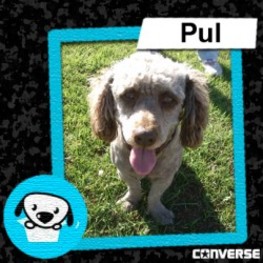 D 67f03c7e 81d3 44ff 90e4 768fe48de15c