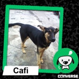 D 9ff7cee1 8bb6 469d 8844 b262f65b0ccd