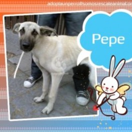 D d712ed22 d74b 4724 adc0 f9063959b480