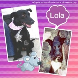 D 1a8aa40f 4349 4473 8295 95b047025ba5