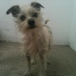 D dfa850df a5db 47b7 99d5 a87b07a8fecc