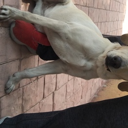 D 1bff118d 45f2 4bd7 acc8 b435d597a64b