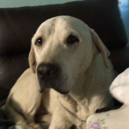 D b5aa348f d067 4a48 a6c0 cd524ee1c62d