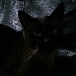 D 46e511eb 9dd6 4312 a8de 25aa875129d1