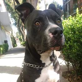 D d0691300 7867 40a5 9bf6 c837bdacc016