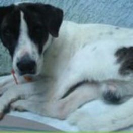 D 7121b3bb 34ea 4584 ab35 88970fe96f96