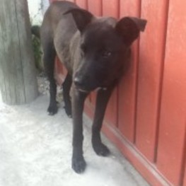 D b3ab4a71 9b35 4d2c 8607 254892486ae3