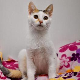 D b965ad2a 9750 4855 84b4 006f631a6f03