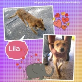 D 3aa67aab 02d5 43db bc83 5e9062fdf402