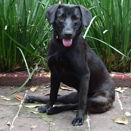 D cc6e4254 2686 4a92 b4e6 8f51e52b8aea