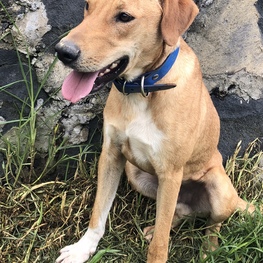 D 37d99c10 e4e5 446f afc5 f4916c0a50a6