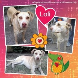 D d9ddca9e 8340 44e7 bb18 0b17c039f571