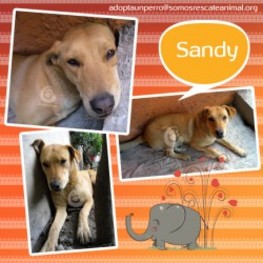 D d446d504 6f04 4f54 9b31 5211a60ff9c0