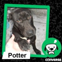 D 2b3238dd 8cb0 4e43 88d2 e125811c06a7