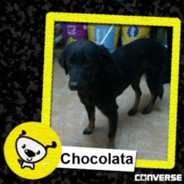 D 5130878e 30c8 4c21 b450 cd800c1bc0b8