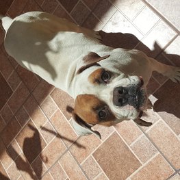 D ed68adfc d8f7 41b7 bf30 09d19795af5a