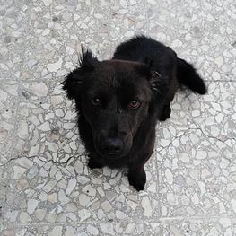 D 86b5fcc0 b357 4c83 95e3 72885342d847