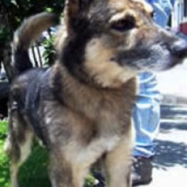 D a8516675 cf97 4365 8f2e d2d4a555d02f