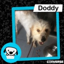 D 483c785f 73ee 4576 af43 7b27831f0c7a