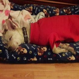 D be374012 9794 4c83 88c4 663901b5c726