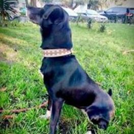 D 80b7f003 0184 4daa 9d8b b96bffb7e245