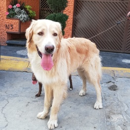 D 17768ba6 279a 41e2 afc8 d7355276905e