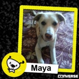 D f29208b0 43eb 4805 96b9 06a36c2e94b8