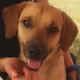 D 3af6c1a1 f8e7 4c24 90e9 3d66758afb3f