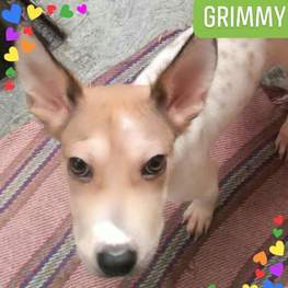 D 2792ae80 51ce 49f9 a0a0 9fb125384af6