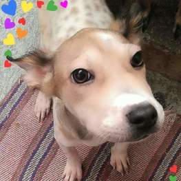 D 9b54667c fe55 4e0c 9df8 f7fb22948eef