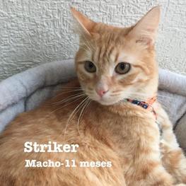 D d6771798 fe8b 4d45 a961 e95d693c5378