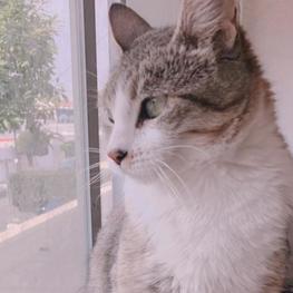 D eb48c2ff df6a 4b1c ae44 24cacf957644