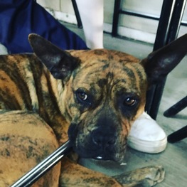 D 48584c77 07e2 45ed 946a 5acb2f7eaaa6