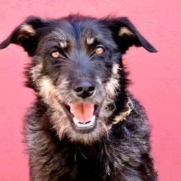 D 81108460 6355 422d 8030 cd017e7b4481