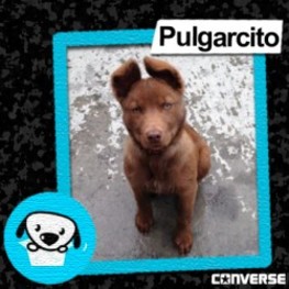 D 1d8ab420 68d6 4a8b a321 68b99beeec24