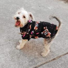 D 212cf977 5f76 4fdc 92f4 fe770898ed9c