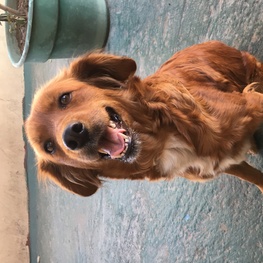 D 7c4dea48 2c1a 4398 9e9b 10a331354da0