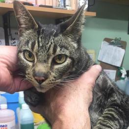 D 6072bf83 f1ca 4221 8f8f 142871955f46