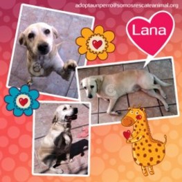 D 13f139d5 9cab 4c5d 95e4 0ade5b8d48f4