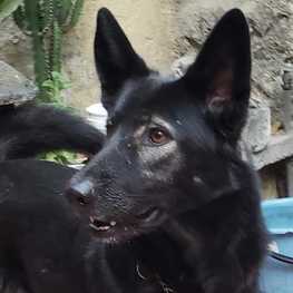 D 05355ae1 8be1 43a0 9829 e55d104303bc